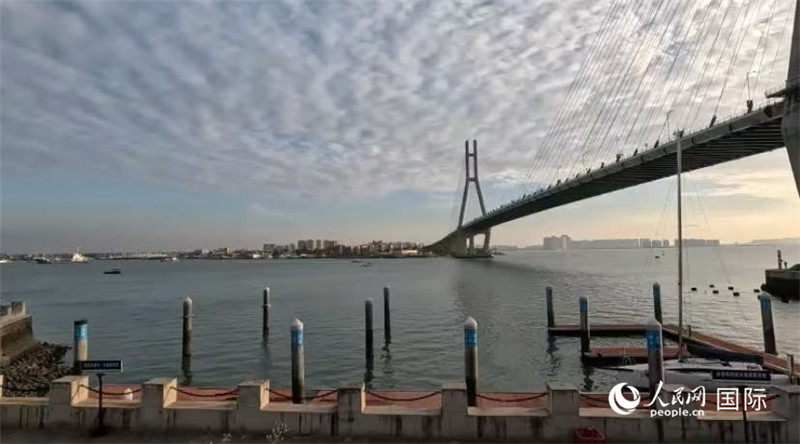 海南省儋州市洋浦大橋。人民網(wǎng) 薩拉·阿芙澤爾攝