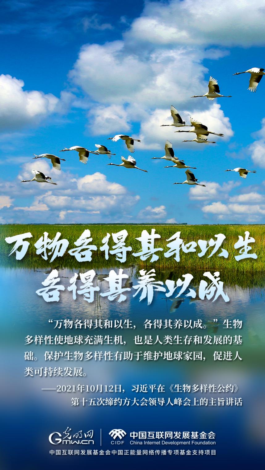 “兩山”理念與美麗中國丨濕地與候鳥，一場歲歲年年的相守