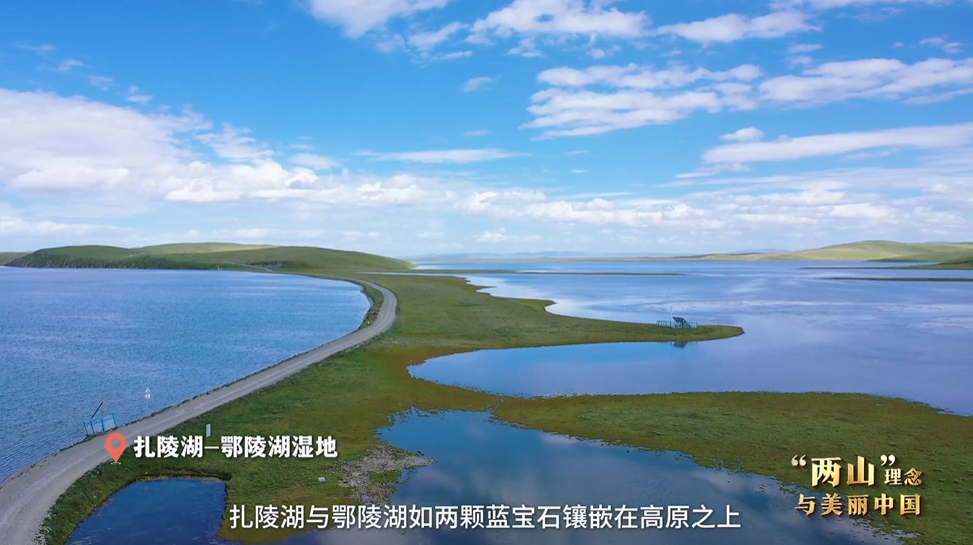 “兩山”理念與美麗中國丨濕地與候鳥，一場歲歲年年的相守