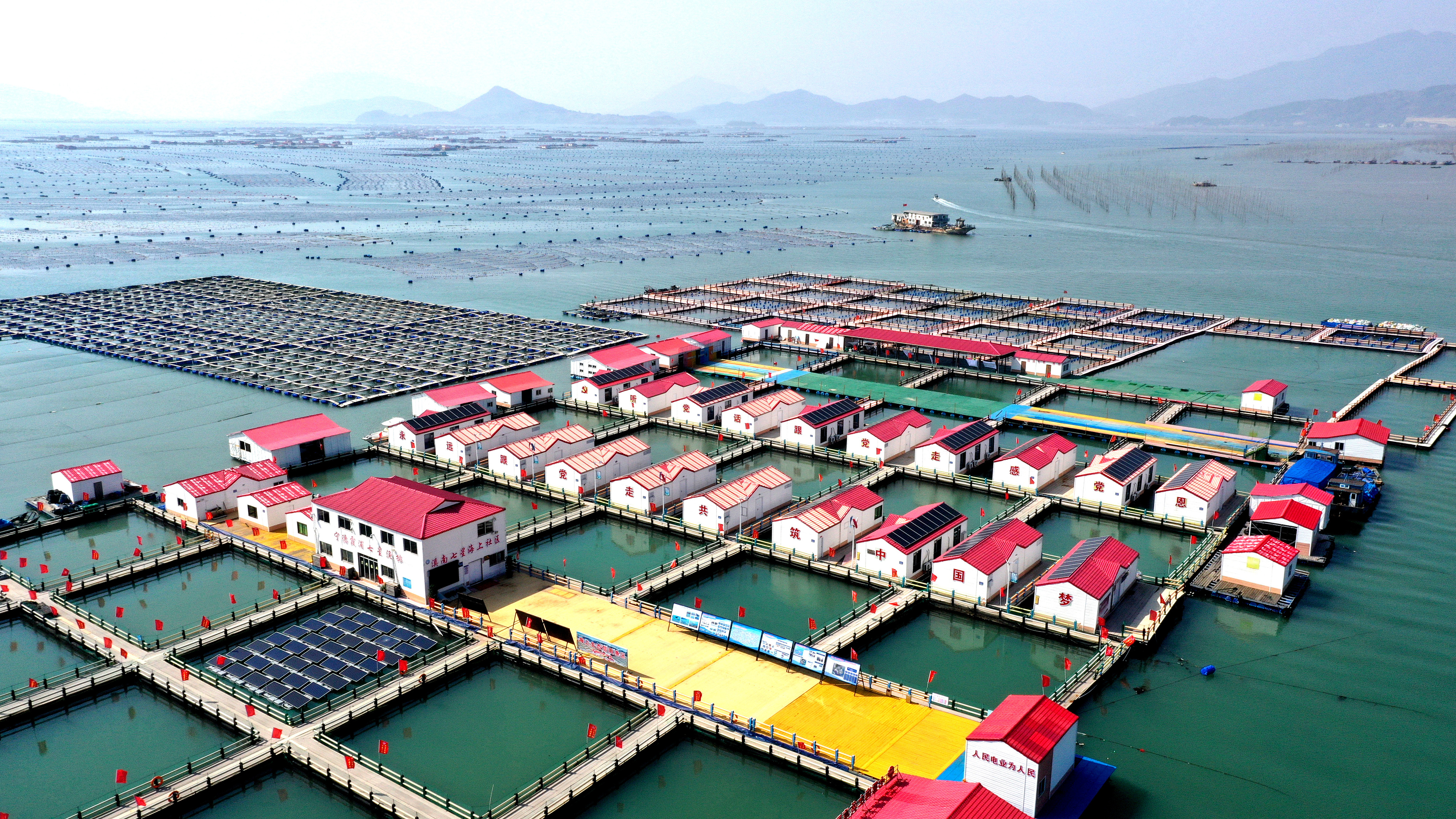 2024年3月20日，福建省寧德市，霞浦縣溪南鎮(zhèn)七星村漁排養(yǎng)殖示范區(qū)，漁民駕駛養(yǎng)殖船進行海參養(yǎng)殖作業(yè)。