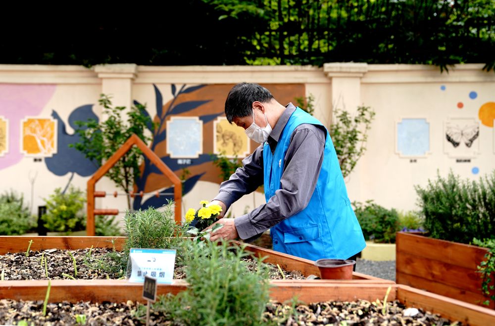 上海市長(zhǎng)寧區(qū)虹旭小區(qū)居民在整理改造社區(qū)花園。居民們把堆肥箱里發(fā)酵出來的“綠色材料”和土壤拌在一起鋪在種植箱中（2020年4月22日攝）。新華社記者 張建松 攝