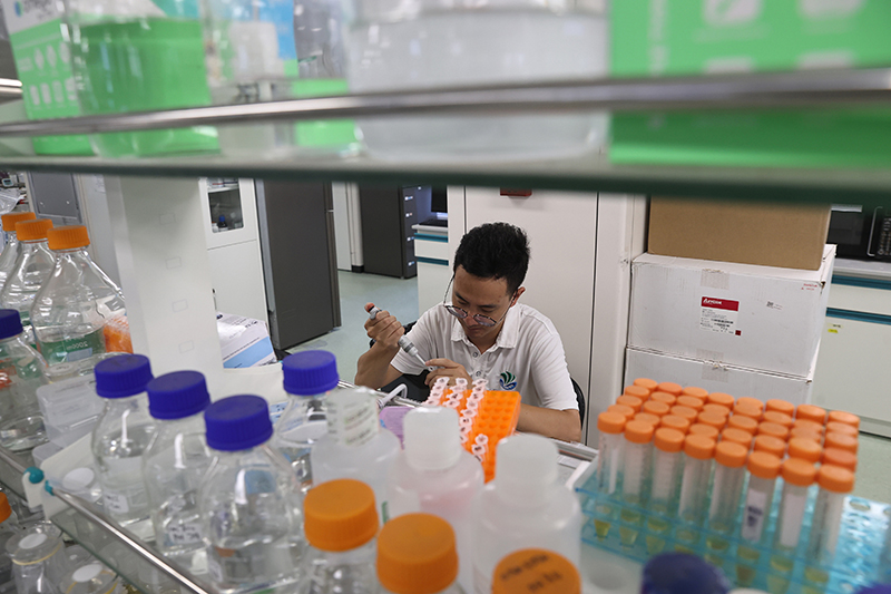 在三亞崖州灣科技城，一名青年科技工作者正在進行科研工作。