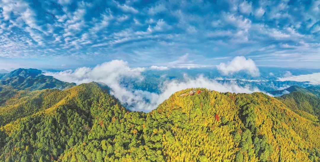 　三明森林生態(tài)環(huán)境優(yōu)美。