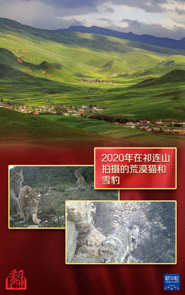 學(xué)習(xí)新語丨越來越好