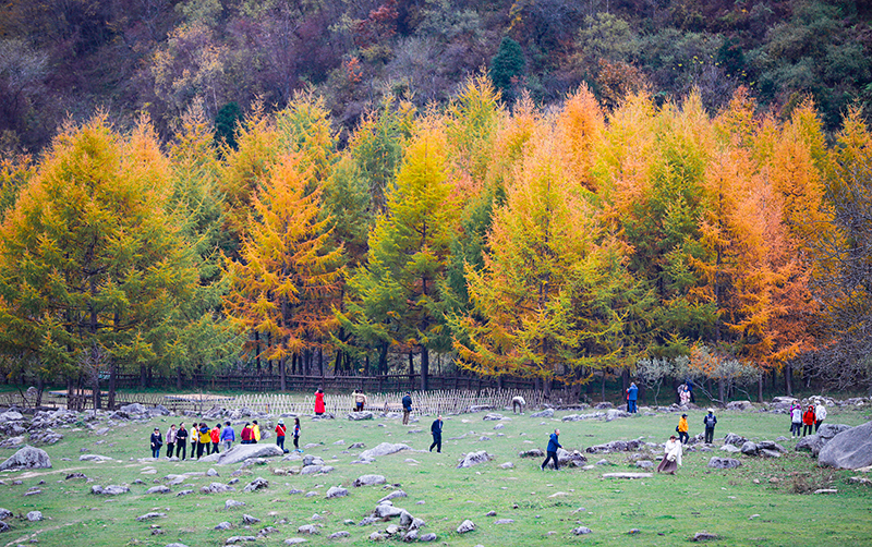 2023年10月27日，深秋時節(jié)的陜西秦嶺太子嶺漫山紅黃、色彩交織，進入最佳觀賞期。
