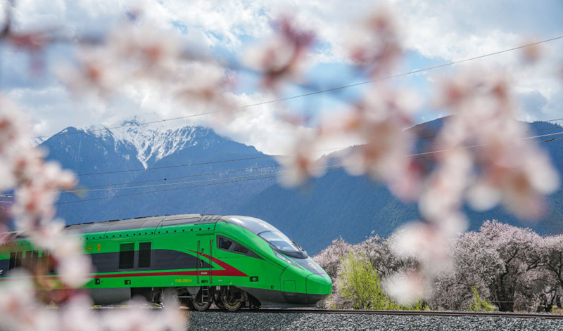 2025年4月2日，復(fù)興號(hào)列車穿行在拉林鐵路林芝段。