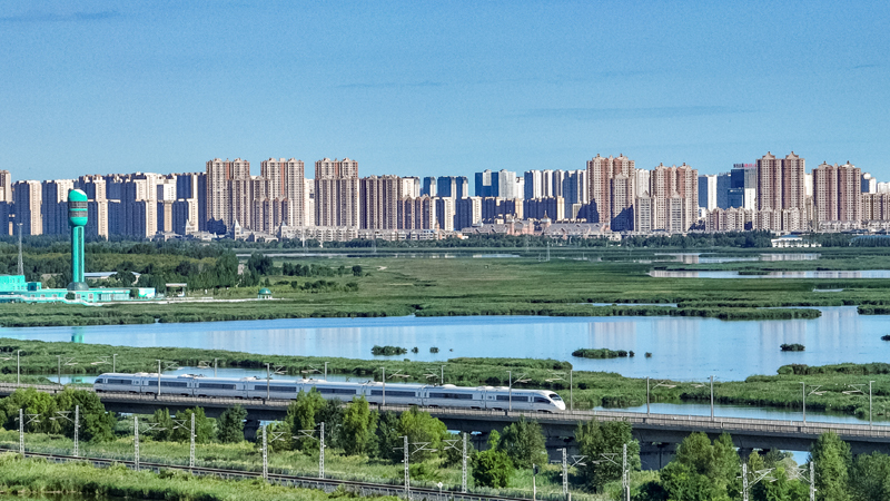 2025年8月17日，一列動車組列車駛過大慶東站。