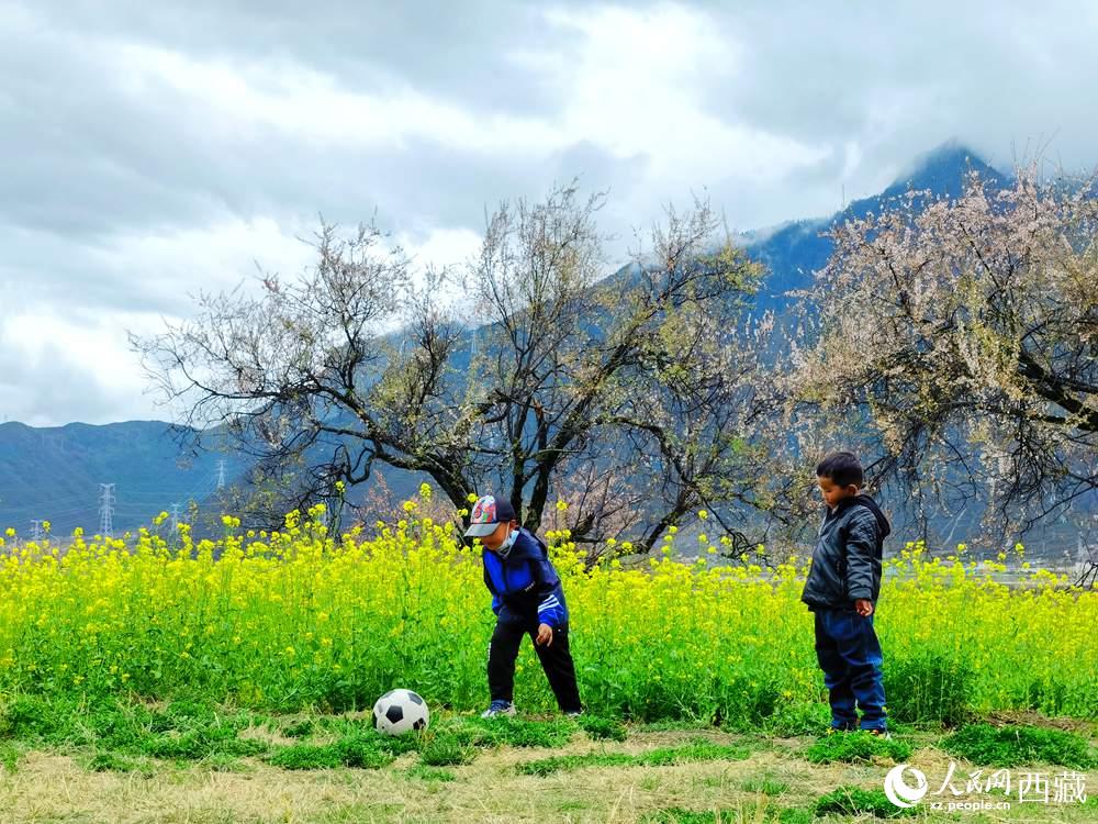 孩童在桃花下嬉戲。人民網(wǎng) 李海霞攝