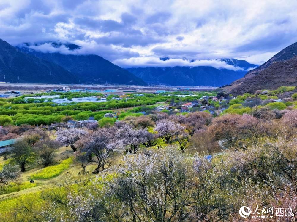 桃花從中的“童話小鎮(zhèn)”。人民網(wǎng) 李海霞攝