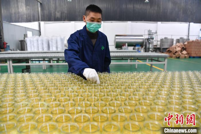 成阿工業(yè)園區(qū)“復工記”：“飛地經濟”助藏區(qū)民眾圓夢