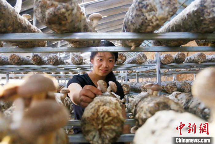 甘肅天?！跋愎椒蚱蕖毕律饺氪ǎ捍笈锢镉板X景”