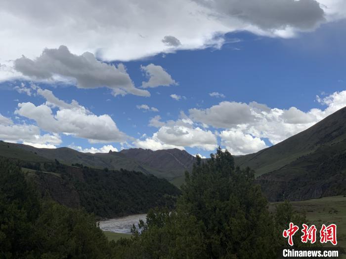 青海省三江源國(guó)家公園分布植物種類(lèi)創(chuàng)新高