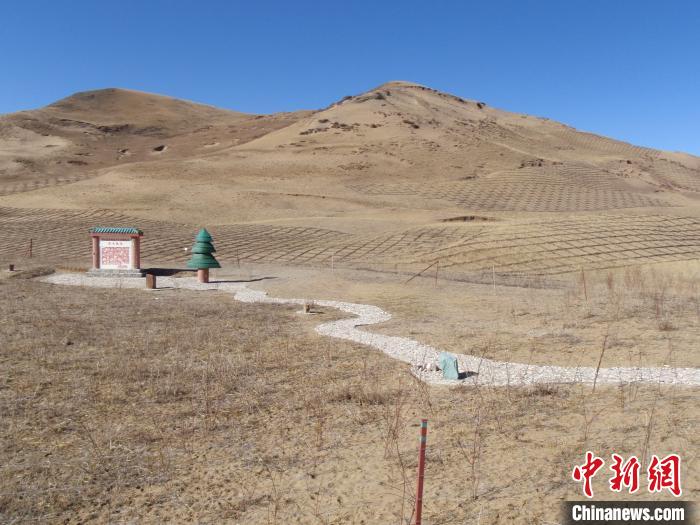 四川省阿壩州若爾蓋縣草原沙化治理前。若爾蓋縣林業(yè)和草原局供圖