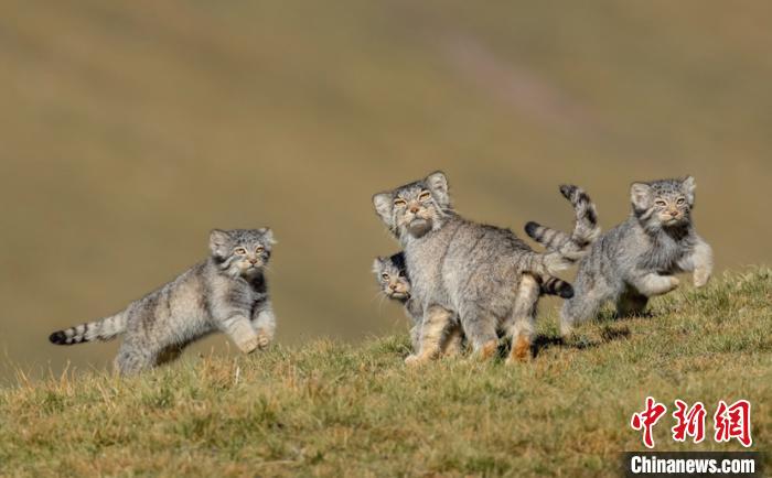 圖為李善元獲獎(jiǎng)作品《當(dāng)媽媽說跑步前進(jìn)》?！±钌圃?攝
