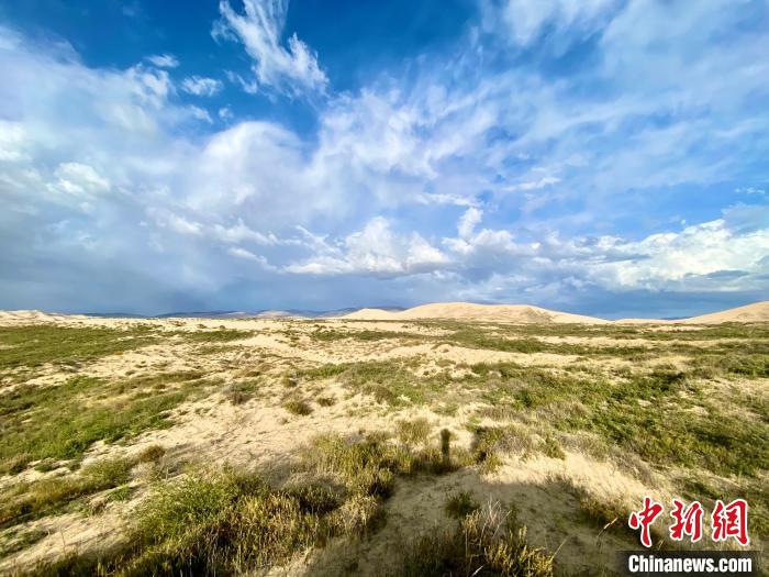 圖為關停四年后的沙島景區(qū)現(xiàn)狀。　李江寧 攝