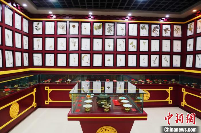 圖為藏藥臘葉標(biāo)本?！●R銘言 攝