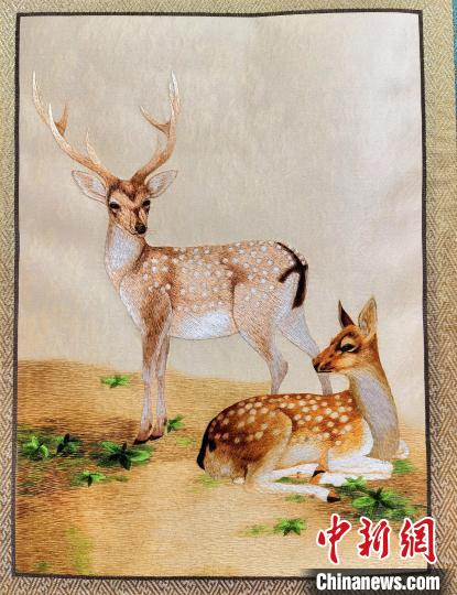 圖為藏繡作品?！∑钤鲚?攝