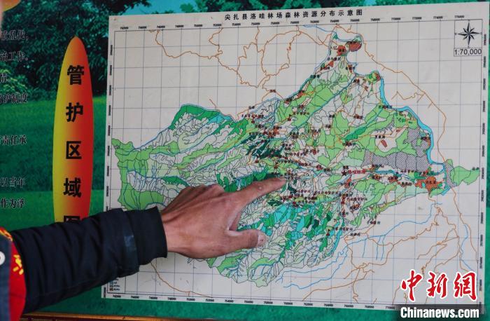 圖為桑杰加介紹管護(hù)區(qū)域分布?！●R銘言 攝