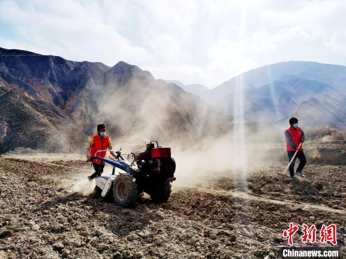 圖為拖拉機在山地犁地。　張?zhí)砀?攝