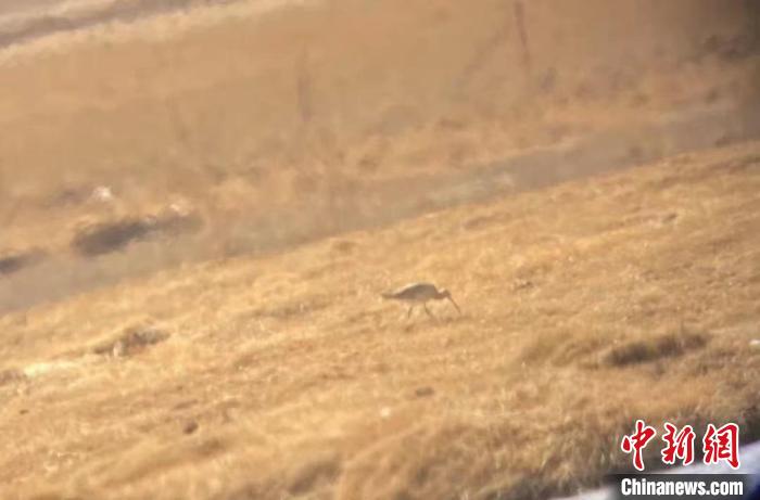 隆寶國家級自然保護區(qū)鳥類名錄增加到134種