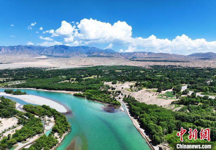 航拍貴德縣黃河岸畔綠意盎然?！●R銘言 攝