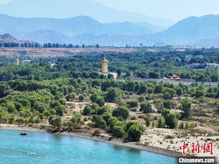 航拍貴德縣黃河岸畔綠意盎然?！●R銘言 攝