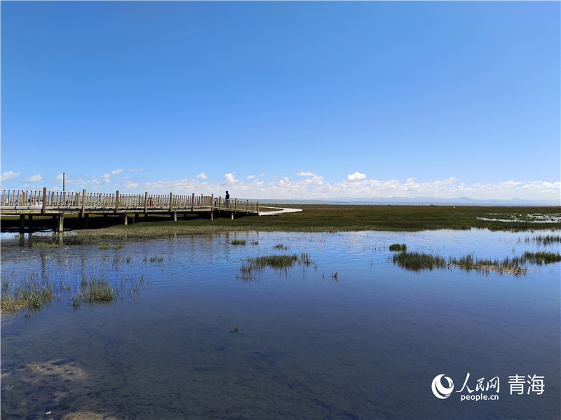   青海湖仙女灣。人民網(wǎng) 張莉萍攝