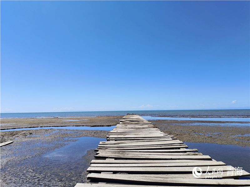   青海湖仙女灣。人民網(wǎng) 張莉萍攝