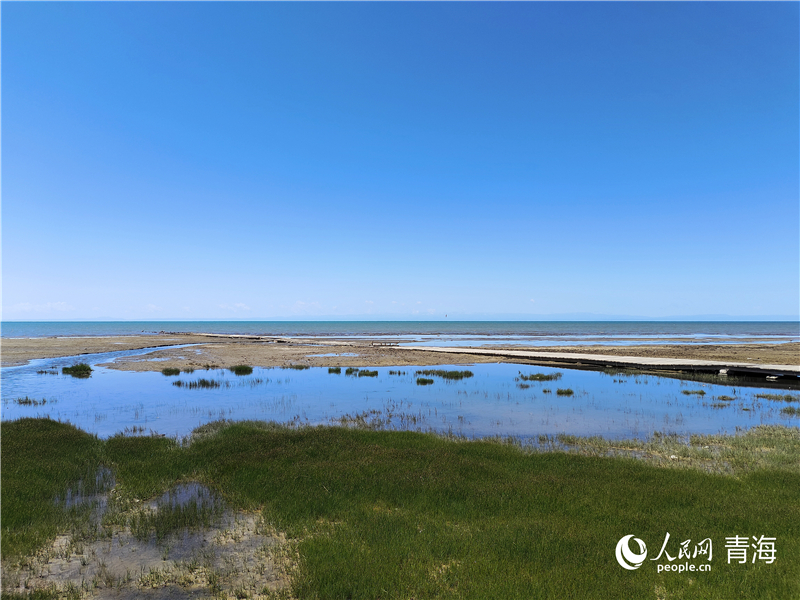   青海湖仙女灣。人民網(wǎng) 張莉萍攝