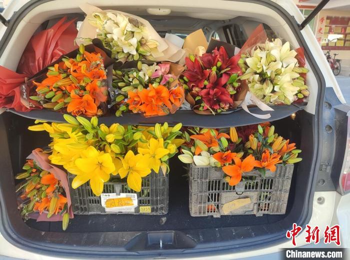 剛剛采摘下來的百合花?！∪捞量h委宣傳部供圖