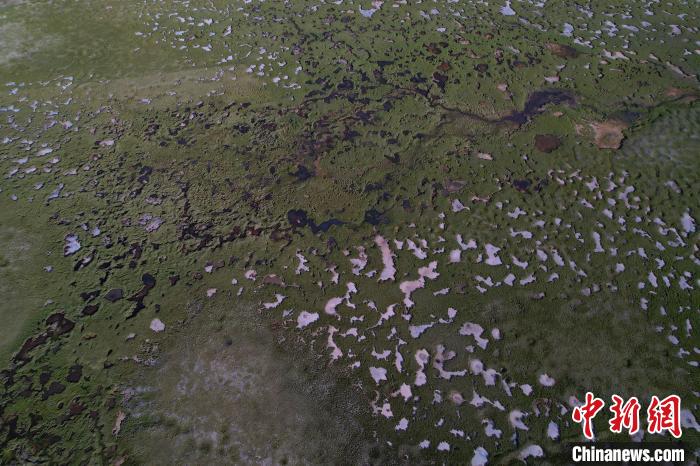 航拍查旦濕地。　馬銘言 攝