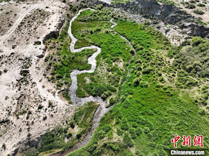 圖為航拍都蘭湖國家濕地公園綠意盎然?！∑钤鲚?攝