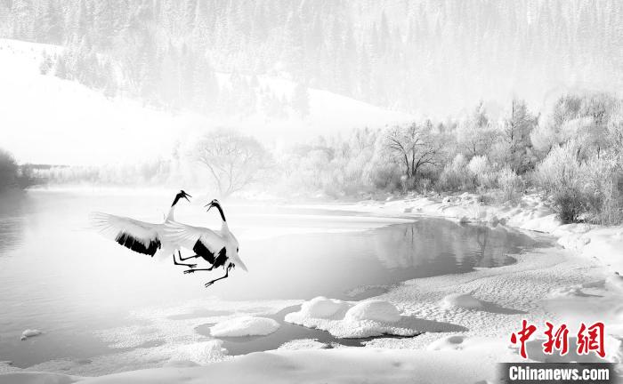 圖為焦生福的作品《鶴嬉雪林》?！∏嗪Ｊ∑钸B山自然保護(hù)協(xié)會(huì)供圖