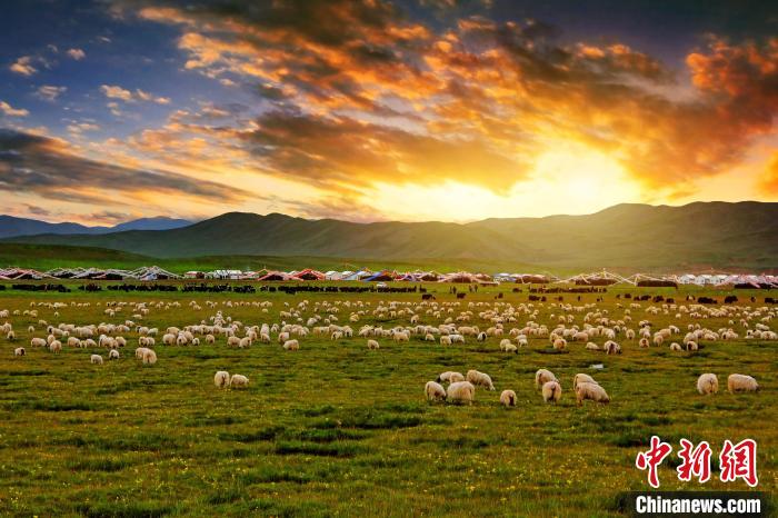 資料圖為青海省玉樹(shù)州稱(chēng)多縣草原風(fēng)光?！」?攝