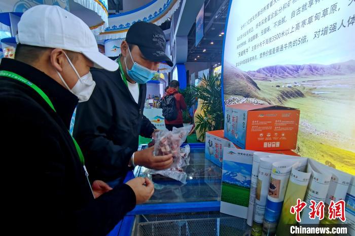 圖為青海參展商整理牛羊肉?！±铍h 攝