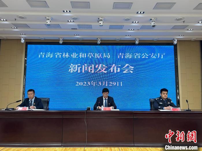 青海去年占用林地、草地準(zhǔn)予許可件同比實(shí)現(xiàn)“雙減”