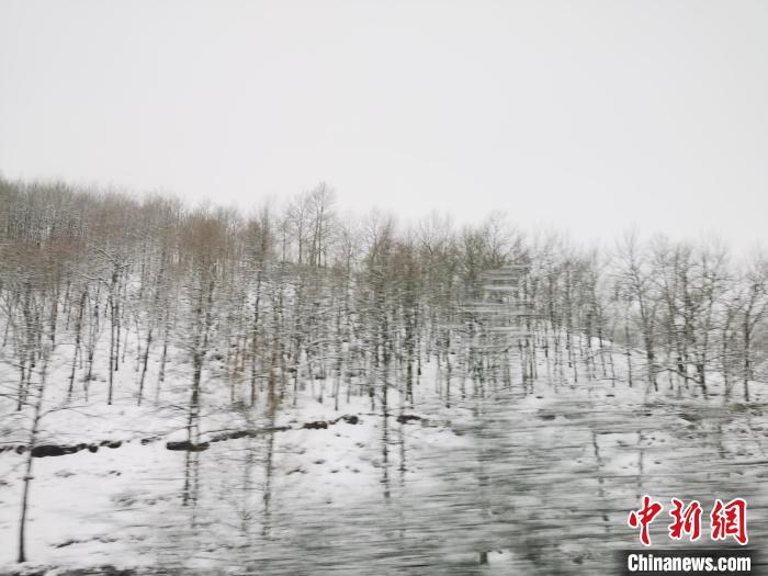圖為青海青沙山區(qū)域被降雪覆蓋?！?zhí)砀?攝