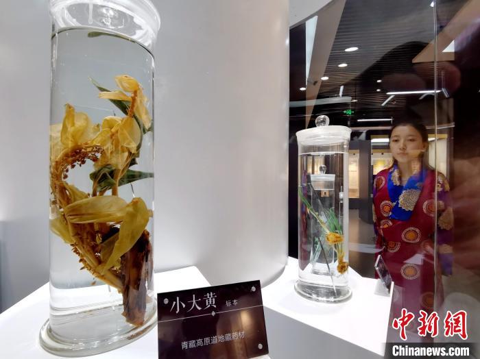 青海中藏醫(yī)藥發(fā)展提速：建設(shè)一批重點(diǎn)?？茖W(xué)科，推廣一批適宜技術(shù)