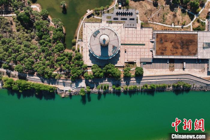 航拍青海貴德黃河岸畔綠意濃濃?！≮w凜松 攝