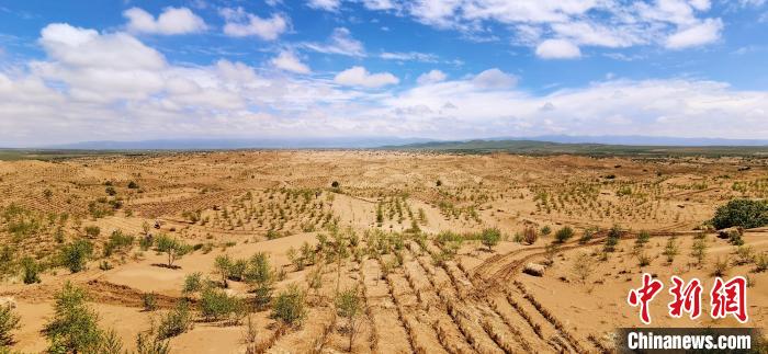 資料圖為貴南縣黃沙頭的防沙治沙草方格?！∑钤鲚?攝