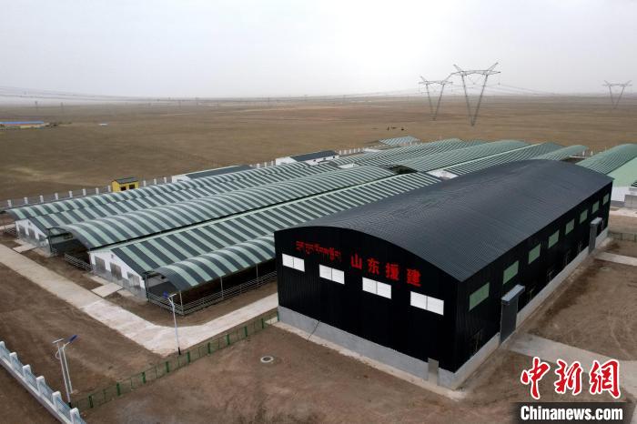 圖為航拍生態(tài)畜牧業(yè)集中規(guī)?；B(yǎng)殖基地?！〔讨绢?攝