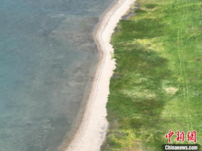 圖為航拍仲夏時節(jié)，青海湖畔綠茵如毯?！∑钤鲚?攝