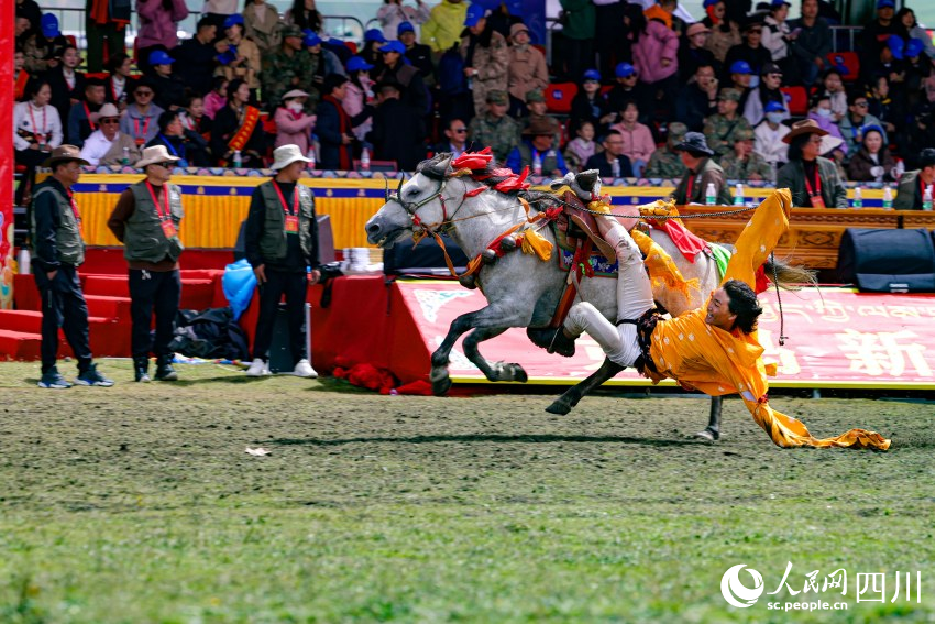 馬術(shù)表演現(xiàn)場(chǎng)。洛絨尼瑪攝