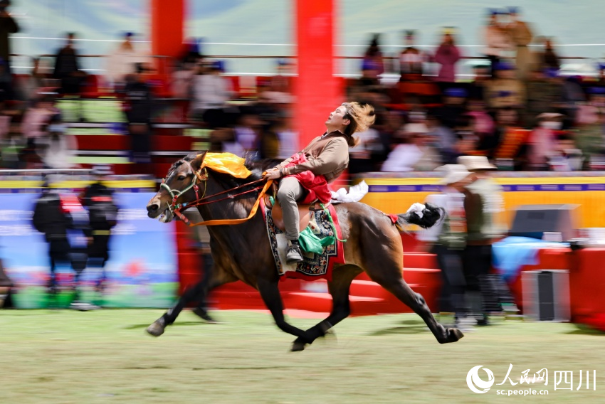 馬術(shù)表演現(xiàn)場(chǎng)。洛絨尼瑪攝