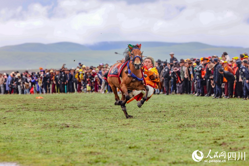 馬術(shù)表演現(xiàn)場(chǎng)。洛絨尼瑪攝