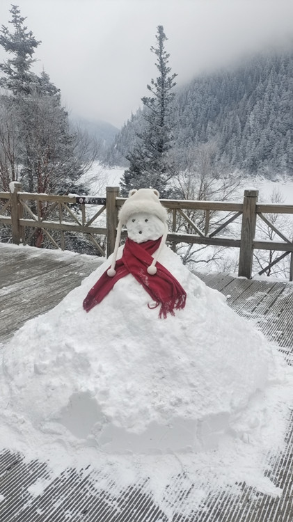 游客堆的雪人。九管局供圖