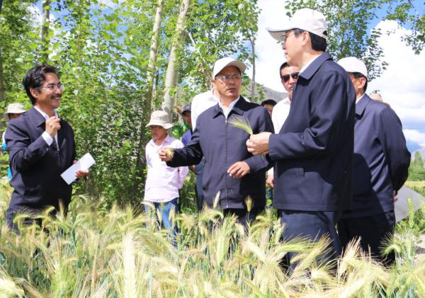 全國表彰大會(huì)上，為什么只有他沒到？