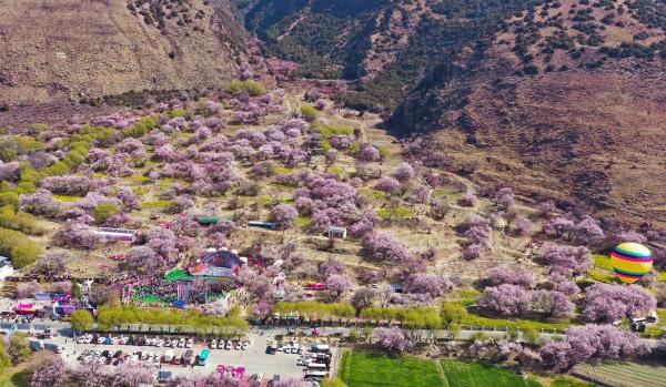世外桃源！一組圖告訴你，西藏林芝桃花能有多美