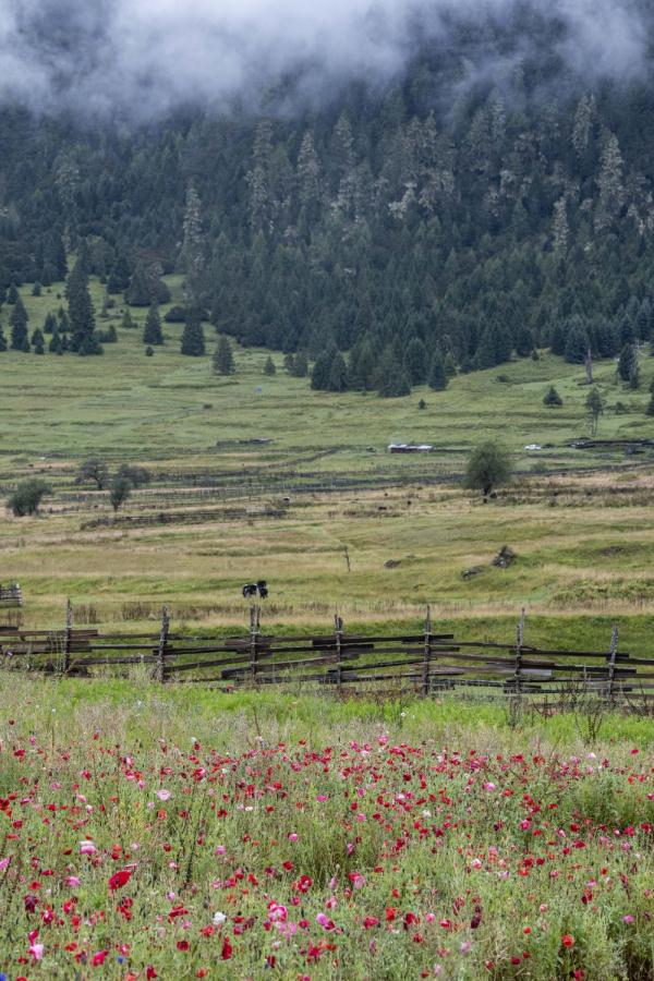 跟我，踏上最美“景觀大道”