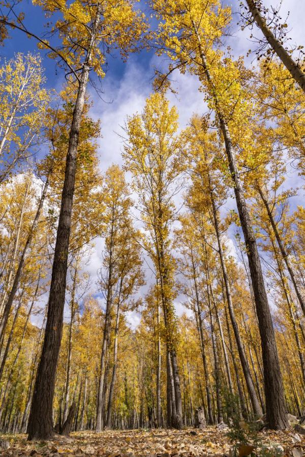 跟我，踏上最美“景觀大道”